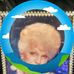 Mable Hoffman - Facebook