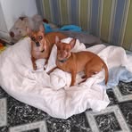 Mable Howell - Facebook