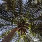 Asser Kent Mable - @asser_kent_mable - Instagram