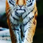 Mabel Koch - @mabelkoch75 - Instagram