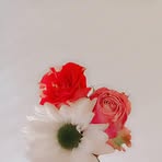 Mabie Lang - Facebook