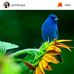 Lilly Mable - Facebook
