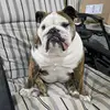Mable lynn - @mable.lynn - TikTok