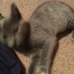 Mable Lynn Beeson - @mablelynnbeeson - Instagram
