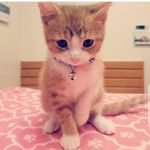 Mable - @mablelynn2021 - Instagram
