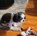 Mable Sadler-Malone - Facebook
