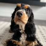 Mabel Mason - @missmabelmason - Instagram