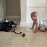 Mabel & Maxwell - @mabel.and.maxwell - Instagram
