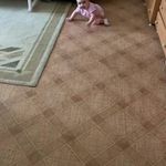 Mabel Maxwell - @mabel.maxwell.7127 - Instagram