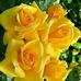 Mable Maxwell - Facebook