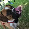 Mable.mae - @mable.mae - TikTok