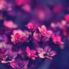 mitchelle_estimable - @mitchelle_estimable - TikTok
