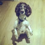 Mabel Moo Mobley - @mabelmoomobley - Instagram