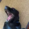 mabel.moore - @mabelbellemoore - TikTok