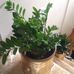 Mable Moore - Facebook