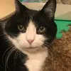 Morgan - @natas..mable.morgan - TikTok