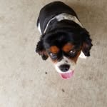 Mable Morris - @mable.morris.9 - Instagram