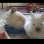 Mable N Morris - @mablenmorris - Instagram