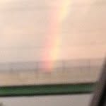 mablemorris - @mablemorris - Instagram