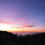 Mable Morrison - @mablemorrison583 - Instagram