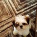 Mable Moses - Facebook