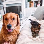Clark & Mable Murphy - @clarkandmabs - Instagram