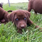 Mabel Murphy - @murphy_mabel - Instagram
