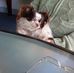 Mable Olsen - Facebook