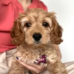 Mable Park - @mable.tails - Instagram