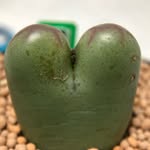 @mablepark0811 - Instagram
