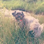Mabel Lynn Powers - @mabel_lynn_powers - Instagram
