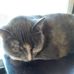 Mable Richards - Facebook