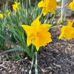 Mable Ann - @mablesharp - Instagram