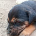 Mable O Small - Facebook