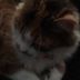 Mable Spencer - Facebook