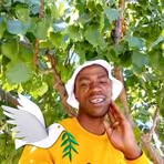 Sefele Sonke Svah Mabele - Facebook