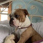 Mabel Walsh - @marvelousmiss_mabel_walsh_ - Instagram