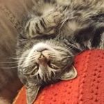 Mable Ward - @recoverfb1980 - Instagram