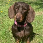 Mable Waters - Facebook