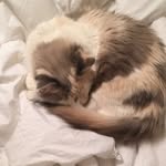 Mabel Weber - @mabelweber44 - Instagram