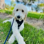 Mable Webster - @life_with_mable_ - Instagram
