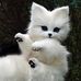 Mable Warner - Facebook