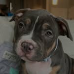 Mabel Jean Wiggins - @mabelwiggins_ - Instagram