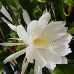 Mab - @mablewisemable - Instagram