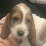 @mabletheyorkshiregbv - Instagram