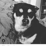 Makennna (aka mac or kenna) - @mac_bacon_lover - Instagram
