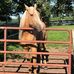Macy Baird - Facebook