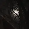 . - @mac.baker00 - TikTok