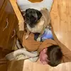Mac - @mac.banker - TikTok