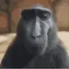Mace Black - @mace.black55 - TikTok